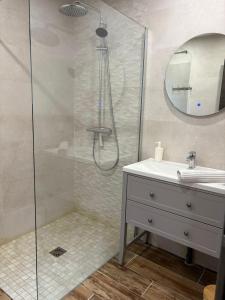 een badkamer met een douche met wastafel en spiegel bij Chalet Iris, spa privatif, 4p in Rochesson +9 foto's