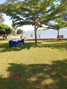 a picnic table under a tree on the beach at Lakeside Beach Hotel in Madwa