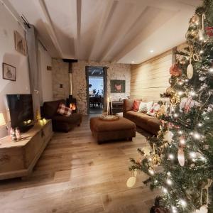 Coume a Case - Gîte 4 étoiles - Charme et nature Vallée d Ossau في Lys: غرفة معيشة فيها شجرة عيد الميلاد