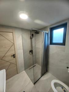 a bathroom with a shower and a toilet at Planinska kuca TM in Jahorina