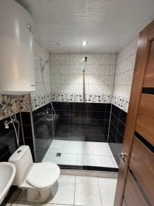 een badkamer met een douche, toilet en wastafel bij Prestige Tower Batumi in Itʼkhvisi