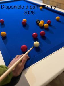 Billardbord på Gite à la ferme, Domaine Solio