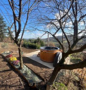 En have udenfor Tente Domaine Solio + 8 billeder