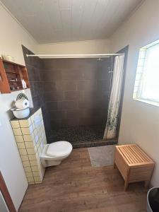 a bathroom with a shower with a toilet and a shower at Syðri-Þverá in Hvammstangi +41 photos