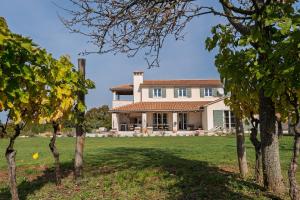 uma grande casa branca com árvores em primeiro plano em Villa Uva by Istrialux em Marići