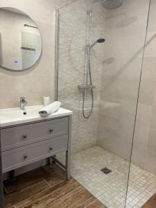 ein Badezimmer mit Dusche, Waschbecken und Spiegel in der Unterkunft Chalet Muguet, spa privatif, 4p in Rochesson