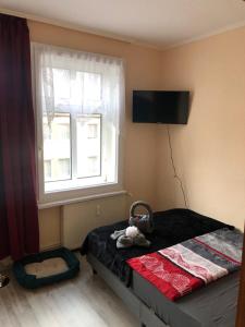 ein kleines Schlafzimmer mit einem Bett und einem Fenster in der Unterkunft Pension Karsten Mertens in Gardelegen