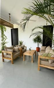 Una sala de estar con sofás, mesas y plantas. en Priima, en Ahangama