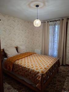 a bed in a bedroom with a chandelier at Appartement 70m2 en résidence calme avec terrasse in Avallon