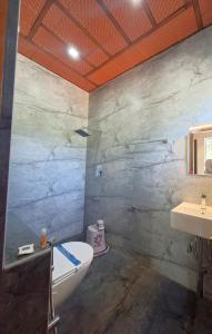 埃尔加德Ozone Hill Resorts的浴室里有白色马桶和洗手池