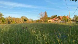a field of tall grass with a house in the background at Gîte Les Orchidées in Puyvendran