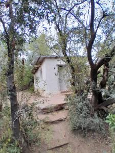 een klein wit gebouw midden in een bos bij Monoambiente Magia Uritorco in Capilla del Monte