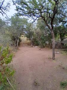 een onverharde weg met een boom in het midden bij Monoambiente Magia Uritorco in Capilla del Monte
