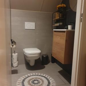 ein kleines Badezimmer mit Toilette und Waschbecken in der Unterkunft 6 - Persoons Forest 217 Sauna Bungalow in Hernen + 43 Fotos