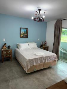 瓜拉派瑞Pousada Villa Felicidade的一间带床和蓝色墙壁的卧室