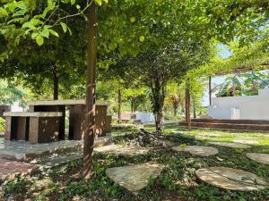 Κήπος έξω από το Emerald Garden Apartment