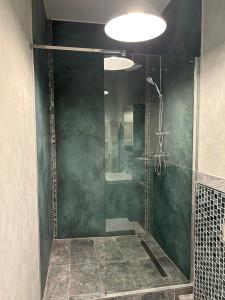 um chuveiro com porta de vidro em um banheiro em BoLA Ferienwohnung Hamburg Nr 22 EG für 4 Personen, Parkplatz em Hamburgo