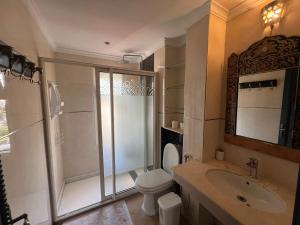 um banheiro com chuveiro, vaso sanitário e pia em Dar Salma em Tânger