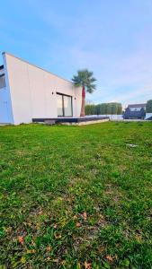 a building with a palm tree on top of a field at Interno 8 in Padova