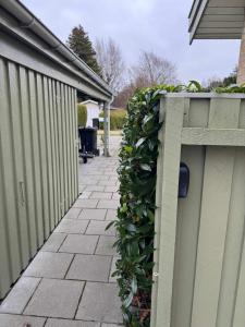 een hek met een groene haag naast een huis bij Summerhouse in Liseleje in Liseleje