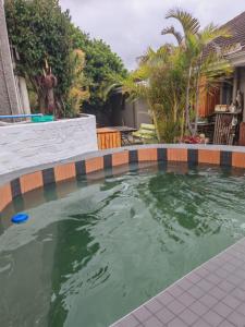 un charco de agua en un patio con árboles en 36 Mount Road Guesthouse and Self Catering, en Port Elizabeth