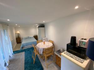 TV a/nebo společenská místnost v ubytování FABULOUS Self contained GARDEN STUDIO EGHAM