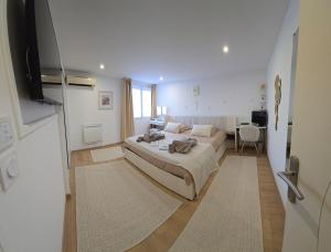 Postel nebo postele na pokoji v ubytování La Demeure du Soleil T2 cosy, Clim,Wifi, Castillet 15 min, parking facile