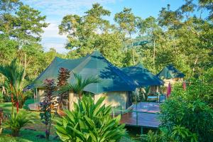 a tent in the middle of a garden at Manoas in Uvita