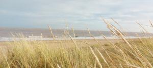 Un paisaje natural cerca de la casa vacacional