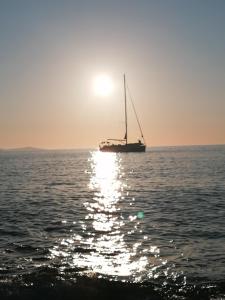 Příroda nedaleko apartmánu