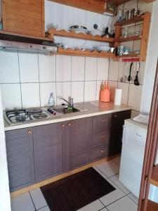 a small kitchen with a sink and a stove at Apartman Ustrine in Ustrine