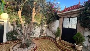 Zahrada ubytování Dar Salma