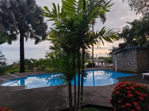 a palm tree in front of a swimming pool at El Diamante - Playa Hermosa in Playa Hermosa