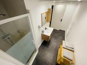 un bagno con doccia, lavandino e specchio di Studio Bohème a La Côte-Saint-André