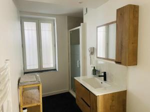 un bagno con lavandino e specchio di Studio Bohème a La Côte-Saint-André