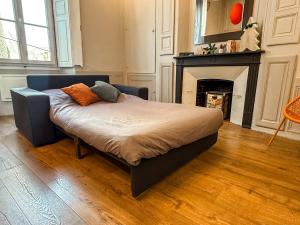 un letto in un soggiorno con camino di Appartement charmant de 50m2 proche cathédrale a Chartres