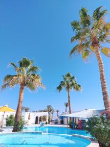 Hồ bơi trong/gần kanabesh hotel