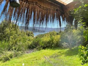 een rieten dak met uitzicht op een veld bij casa en el lago in Contulmo