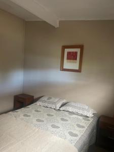 een slaapkamer met een bed en een schilderij aan de muur bij casa en el lago in Contulmo +3 foto's