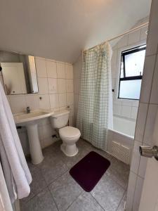 une salle de bains avec toilettes, lavabo et douche dans l'établissement Cabañas del Puerto, à Puerto Montt