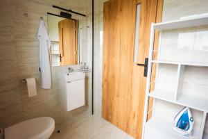 a bathroom with a white toilet and a mirror at Beskid Penthouse Milówka in Milówka +254 photos