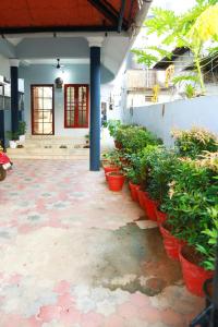 a group of potted plants inront of a building at Casa maryam in Fort Kochi