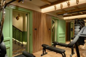 Fitness centrum a/nebo fitness zařízení v ubytování Franz Apartments