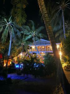 En have udenfor Caye Caulker Boutique Guesthouse 1