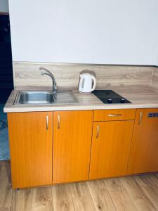 Oravský Biely PotokにあるPenzión Centrumのシンクとカウンタートップのあるキッチン