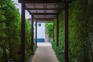 Vườn quanh Phuket Seaview Resotel