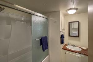 a bathroom with a shower and a sink at Ruidoso Mountain Getaway Centrally Located in Ruidoso +13 photos