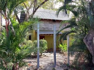 モンテスマにあるHouse on the Hillのヤシの木が目の前に広がる黄色い家