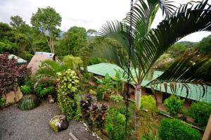 a garden with palm trees and other plants at Big Bamboo de Uvita in Uvita