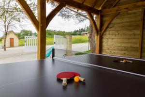 - une table de ping-pong avec une tortue joueuse dans l'établissement Gite du soleil levant, à Lacropte